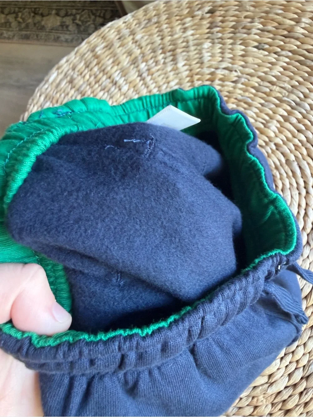 Gymboree Dragon Fleece Pants